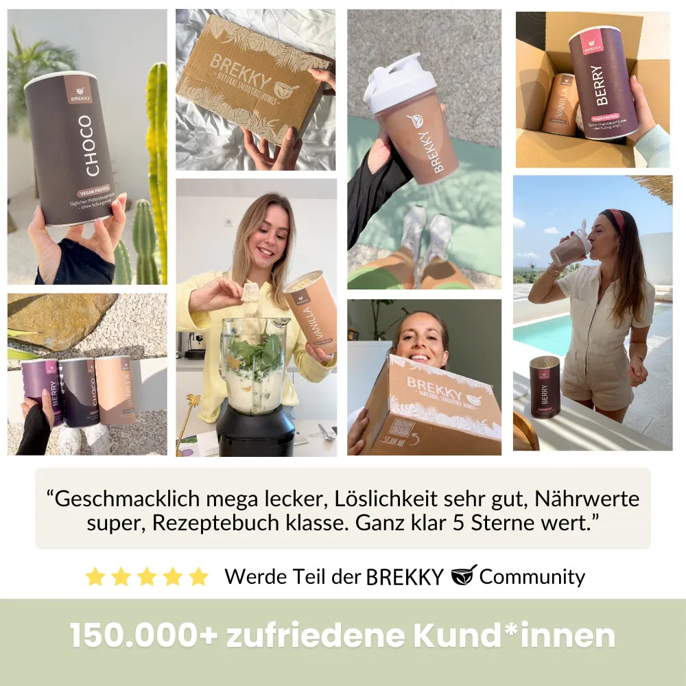 Veganes Premium Proteinpulver I Frühlings Probierpaket mit GRATIS Gläsern