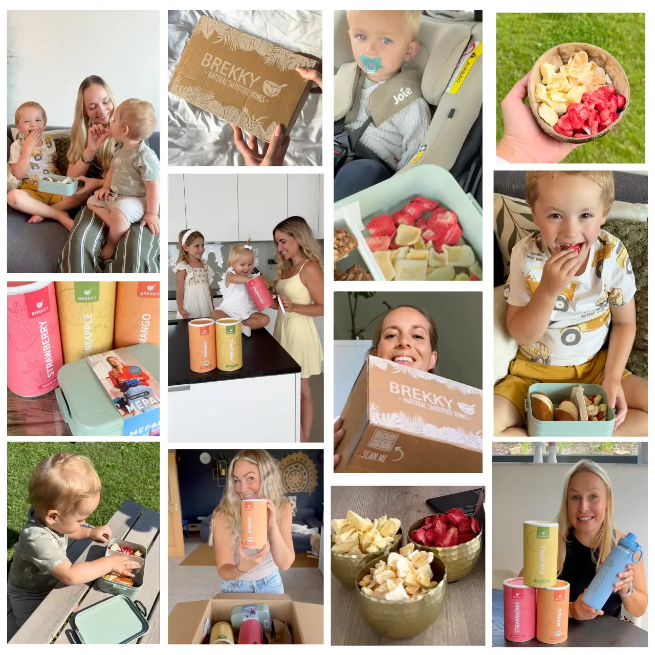 Gefriergetrocknete Früchte I Sommer Probierpaket