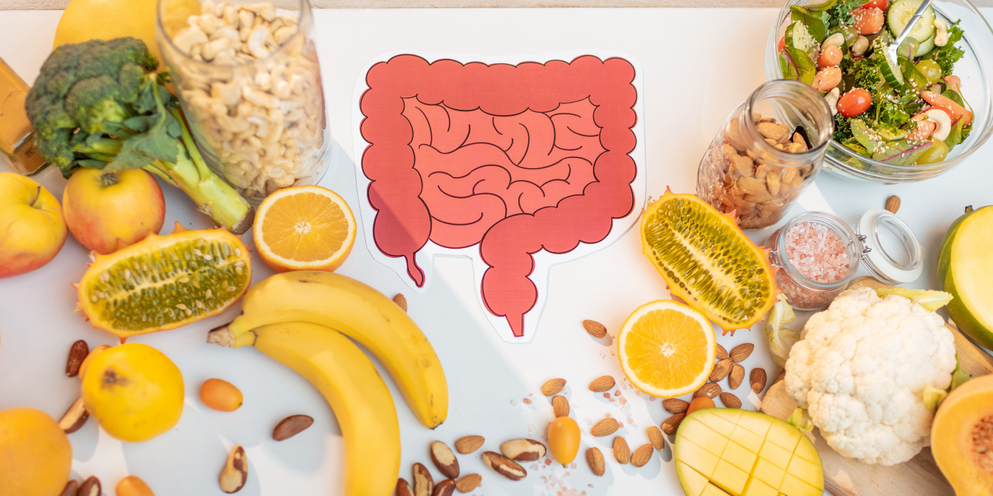 Darm Illustration umgeben von Obst und Gemüse