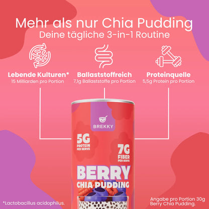 Dose Berry Chia Pudding mit drei Vorteilen