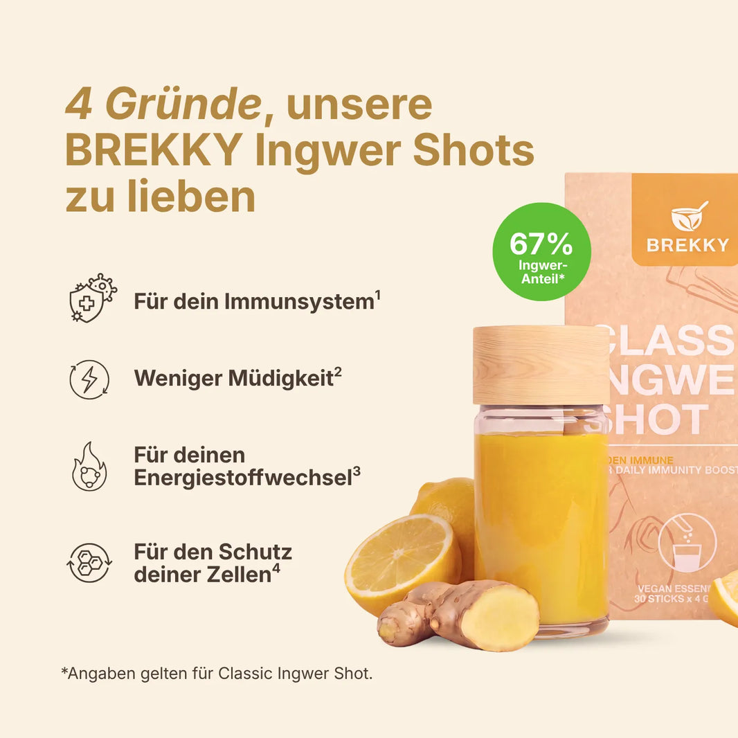 Ingwer Shot Probierpaket