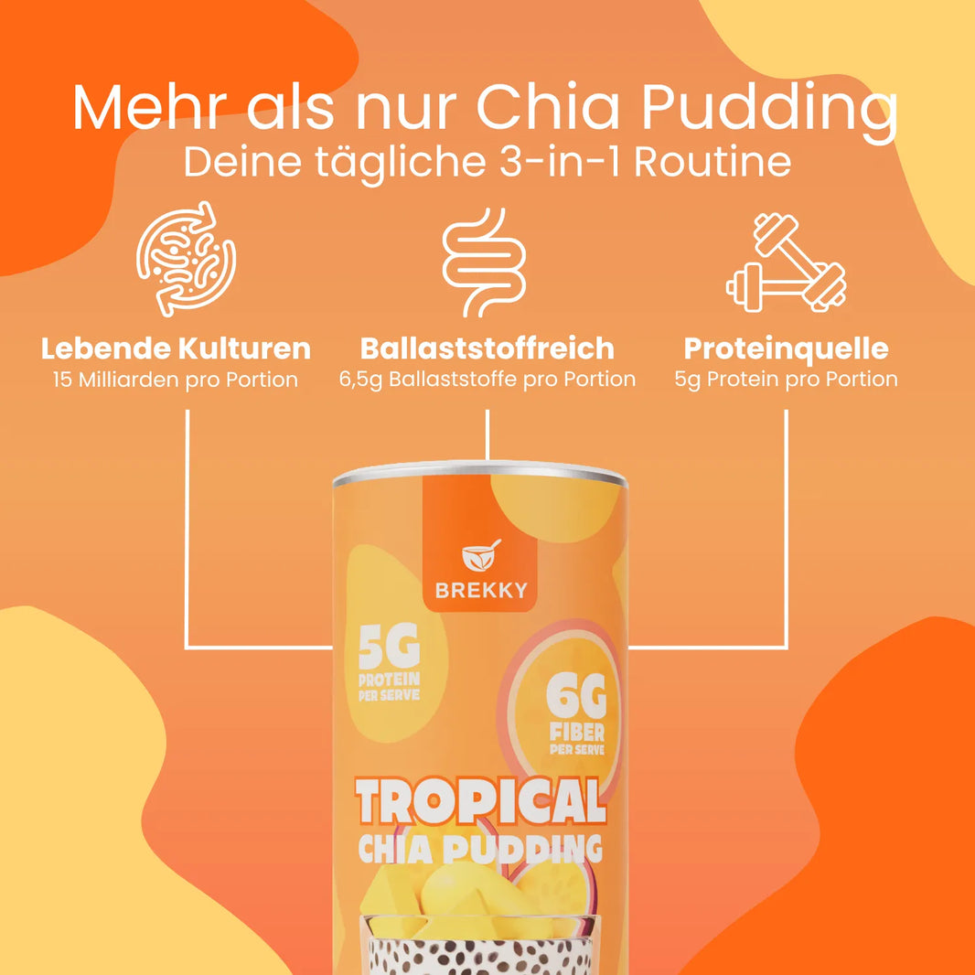 Dose Tropical Chia Pudding mit Vorteilen der Rezeptur