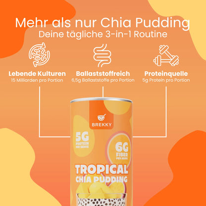 Dose Tropical Chia Pudding mit Vorteilen der Rezeptur