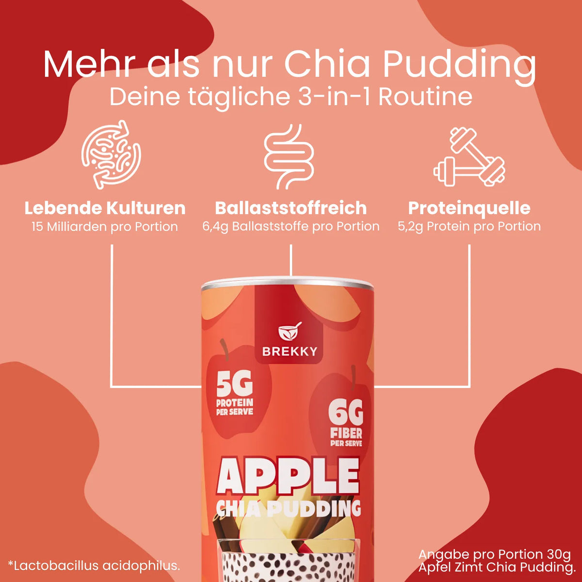 Chia Pudding Probierpaket | Ballaststoffreich