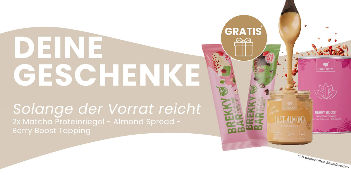 Geschenkebanner Highlight Page BREKKY
