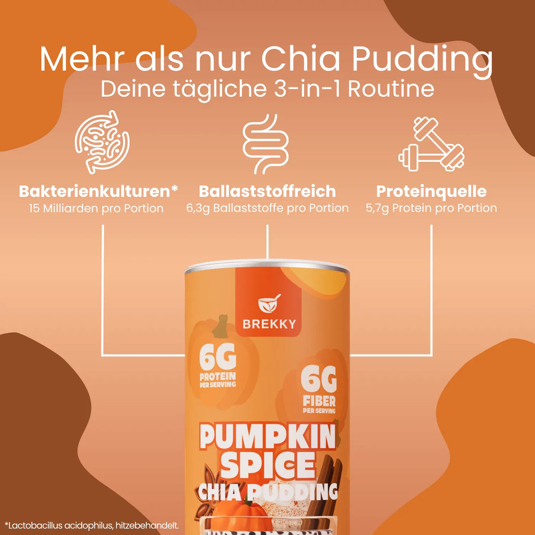 Chia Pudding Kürbisgewürz 3 USPs
