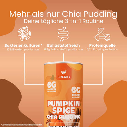 Chia Pudding Kürbisgewürz 3 USPs