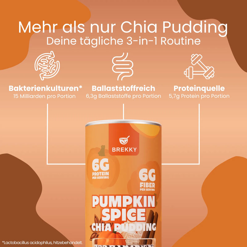 Chia Pudding Kürbisgewürz 3 USPs