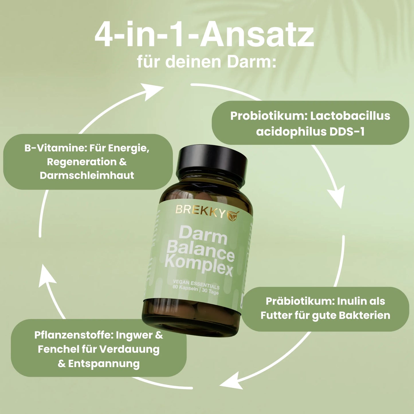 Darm Balance Komplex