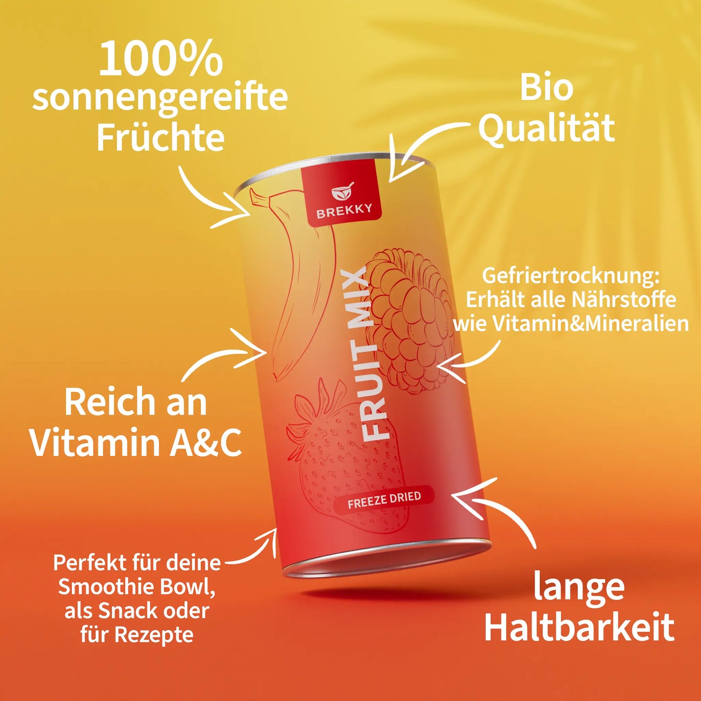 Gefriergetrockneter Fruit Mix