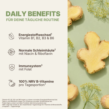 Daily Benefits B-Vitamine mit Ingwer