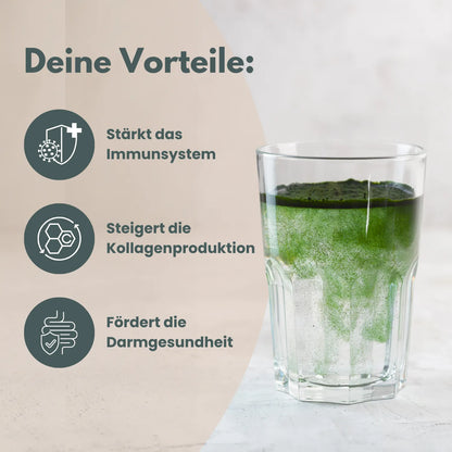 Vegan Collagen+Greens