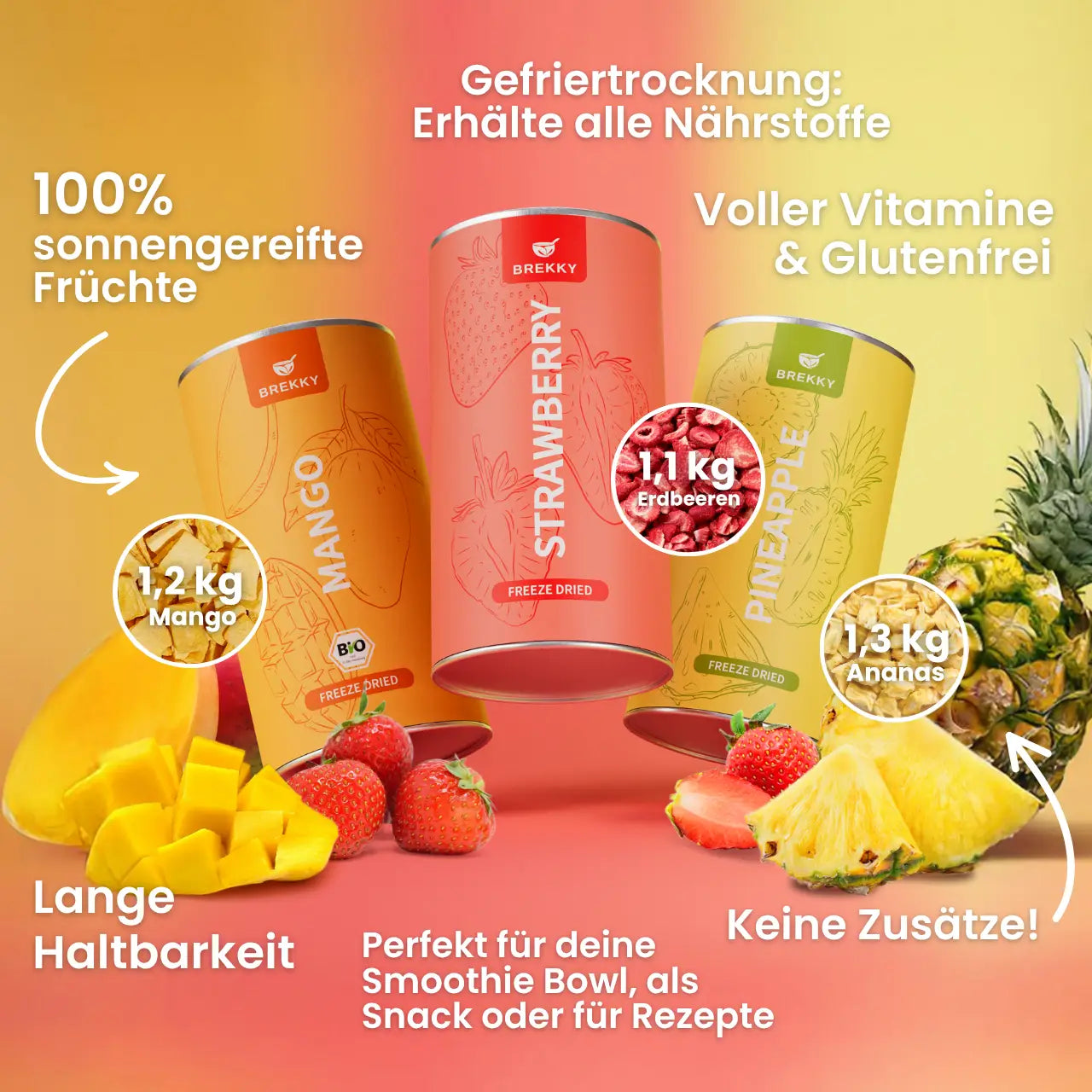 Gefriergetrocknete Früchte - Herbst Probierpaket