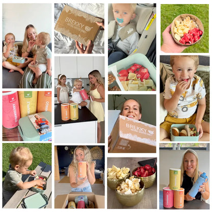 Gefriergetrocknete Früchte - Herbst Probierpaket