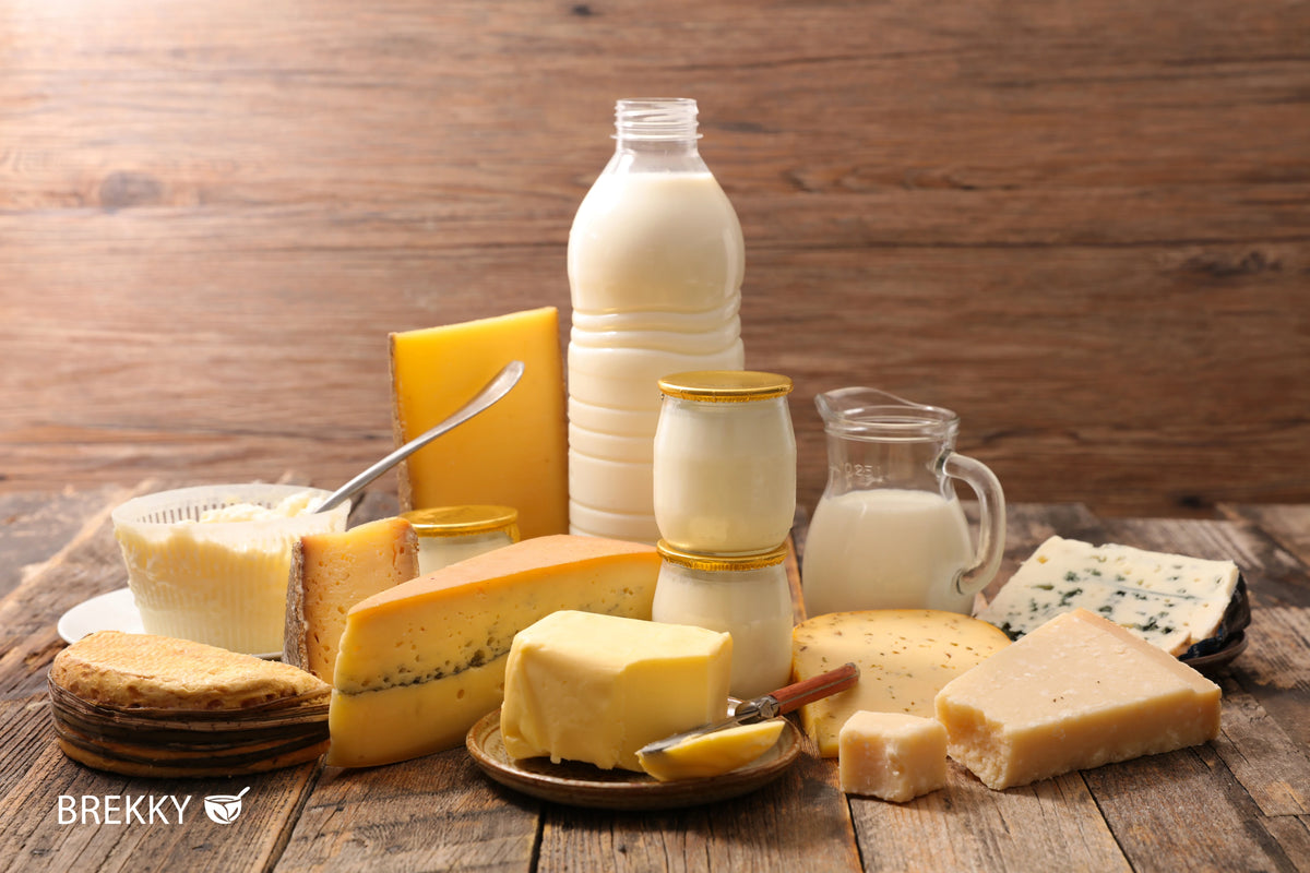 Milchprodukte Käse Butter und Milch auf Holztisch