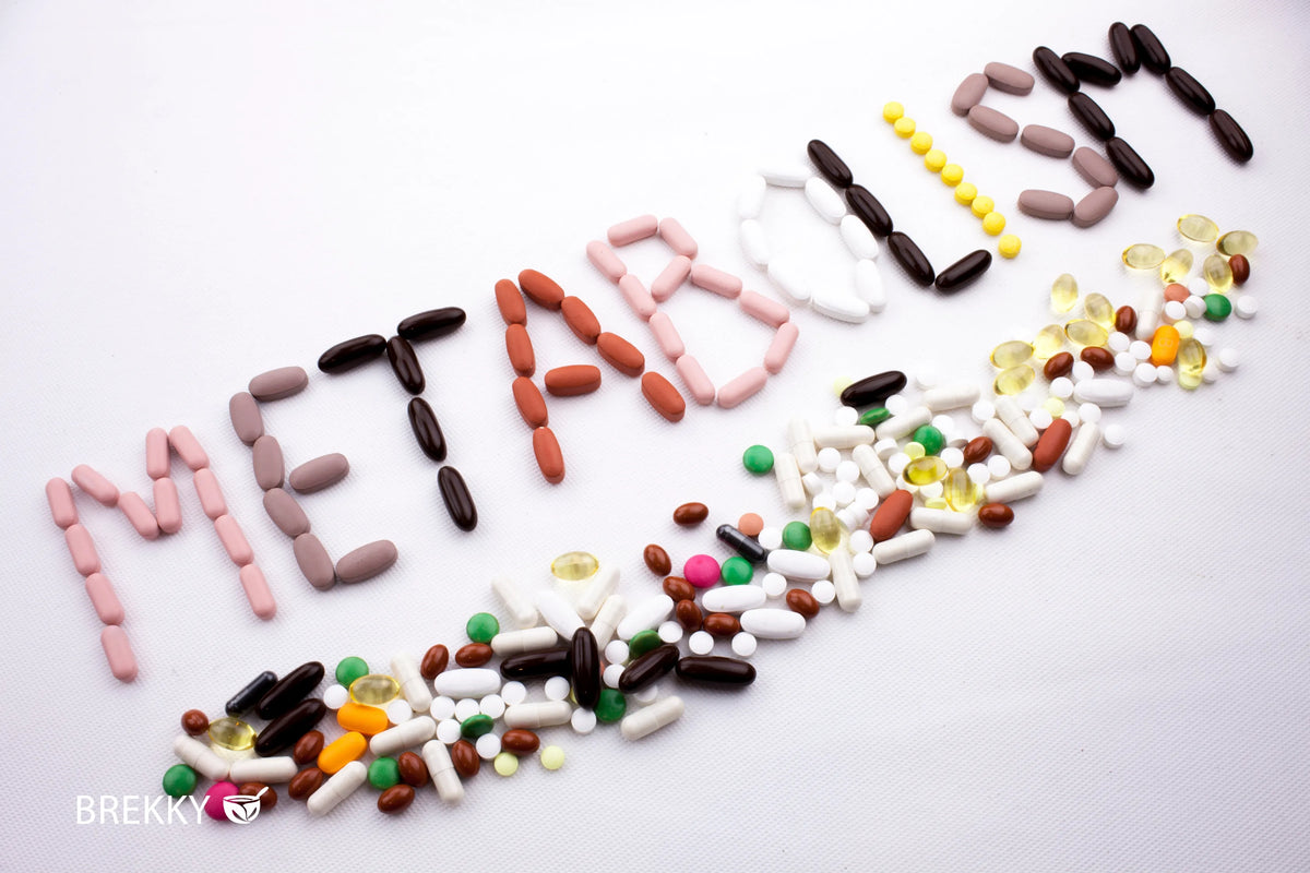 Tabletten formen das Wort Metabolism